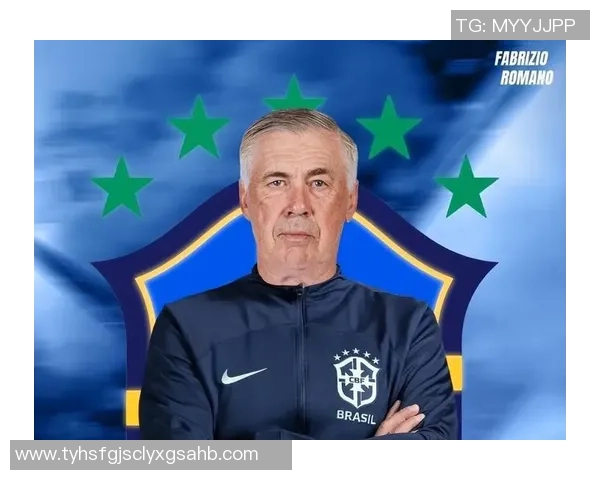 巴西足球明星数量揭秘与他们的辉煌成就分析