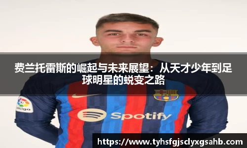 凤凰联盟平台