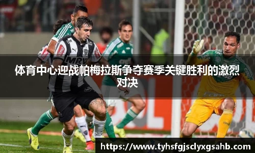 体育中心迎战帕梅拉斯争夺赛季关键胜利的激烈对决