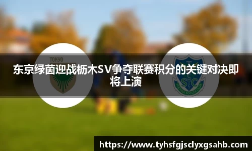 东京绿茵迎战枥木SV争夺联赛积分的关键对决即将上演