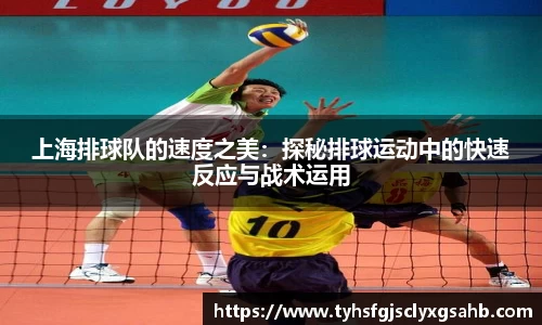 上海排球队的速度之美：探秘排球运动中的快速反应与战术运用